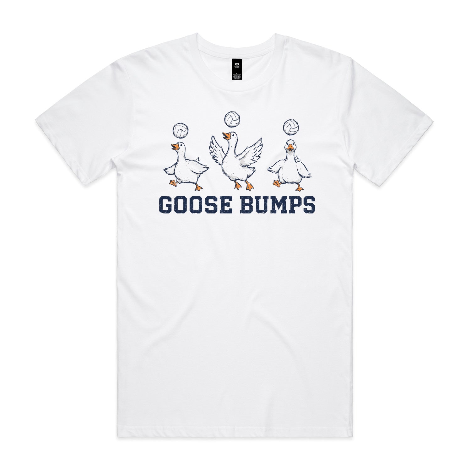TEEBEE Goose