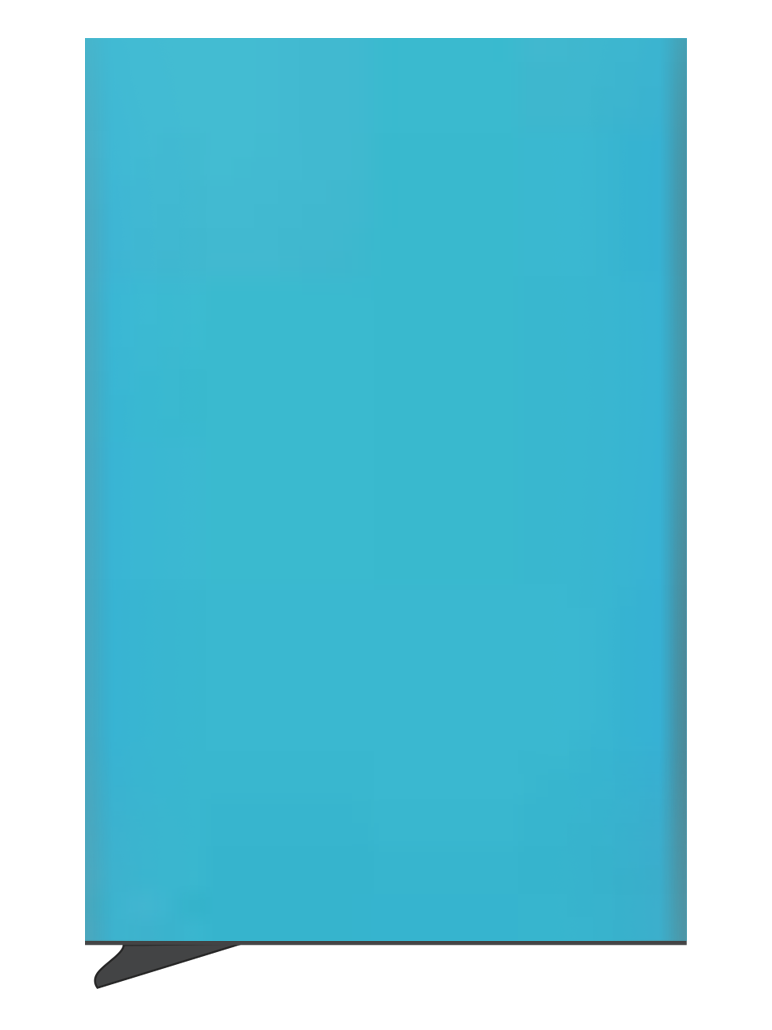 PROMOBEE RFID-luottokorttikotelo